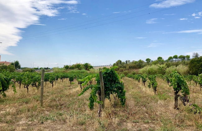 Mas Gelamà - Foto 30