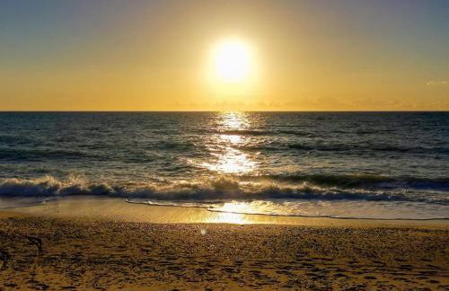 White Lotus - Foto 12