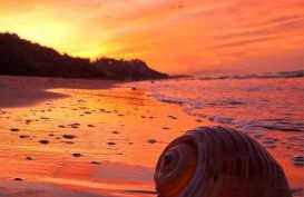 Les Petites Maisons - Foto 62