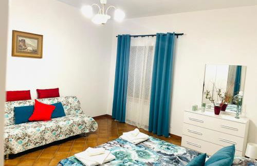 Paloma nel bosco - Foto 13