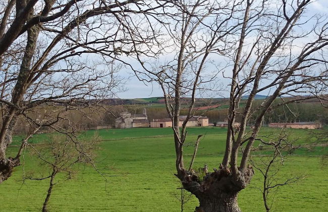 Finca Santa Eufemia - Foto 33