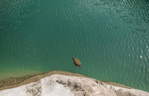 Water Haus - Foto 34