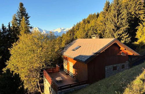 Chalet Camomille - Confortable chalet dans un quartier calme avec une vue imprenable sur la vallée et le Mont Blanc MAE-0967 - Foto 22