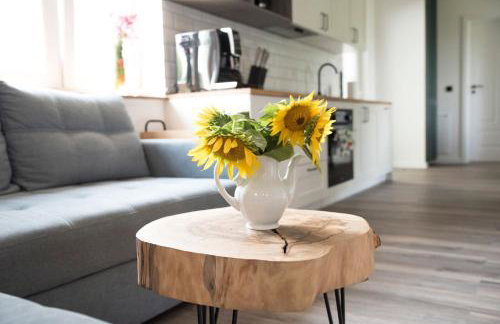 Stara Stolarnia Noclegi - Foto 38