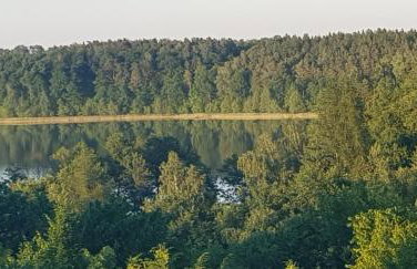 Agroturystyka Lisa Młyn - Foto 23