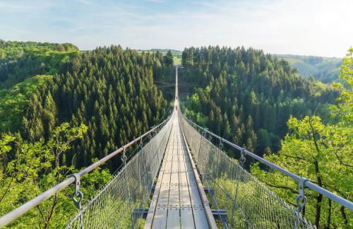 Ferienhaus Am Moselstausee - Foto 41