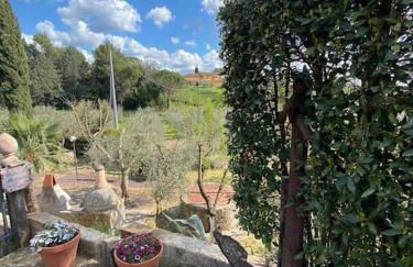 Country house in Maremma Villa Mafalda - Foto 39