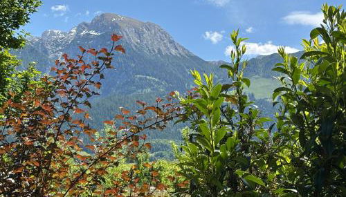 Rosenhäusl - Foto 5