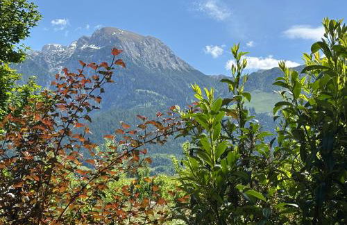 Rosenhäusl - Foto 5