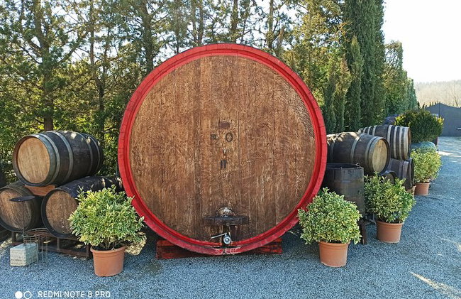 "Recorre las onduladas colinas de Chianti" con almuerzo y degustaciones de vino - Foto 21