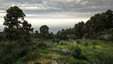 Monte frio de Tenerife - Photo 4