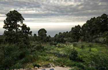 Monte frio de Tenerife - Foto 4