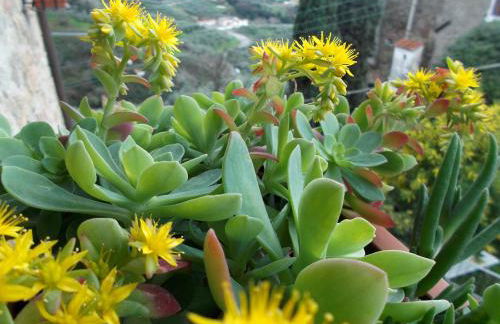 Casa Velia - Foto 32