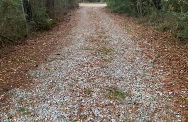 Plenty Parking for Boat ,RV, Trailers w Cars Cozy 2 BDRM COTTAGE - Foto 15