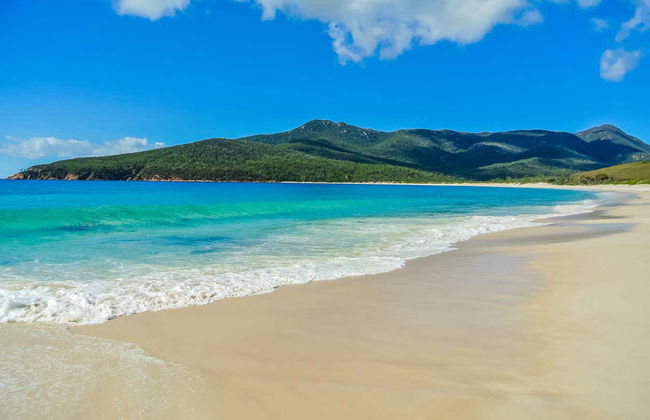 Balade en bateau dans la péninsule de Freycinet et la baie de Wineglass - Photo 1