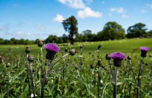 South Lodge, Twizell Estate - Foto 31