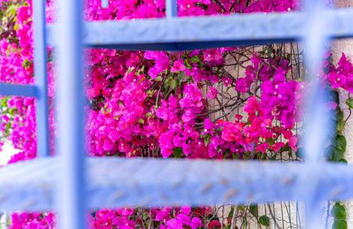 Casa Azzurra - Foto 30