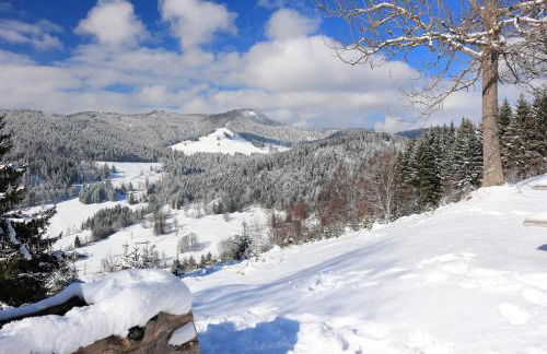 Galeriewohnung in Menzenschwand - Foto 33