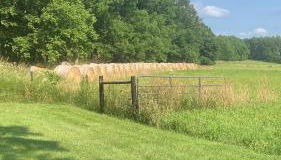 Driftless Edge Farm - Foto 3, Garden