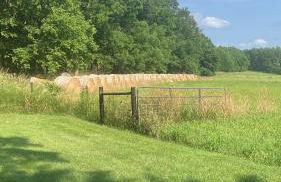 Driftless Edge Farm - Photo 3