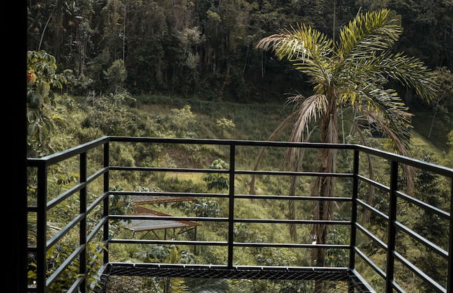 Gaia glamping - Photo 13