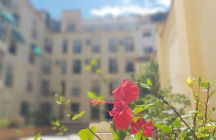 Del Parque Flats Victoria Family - Foto 26