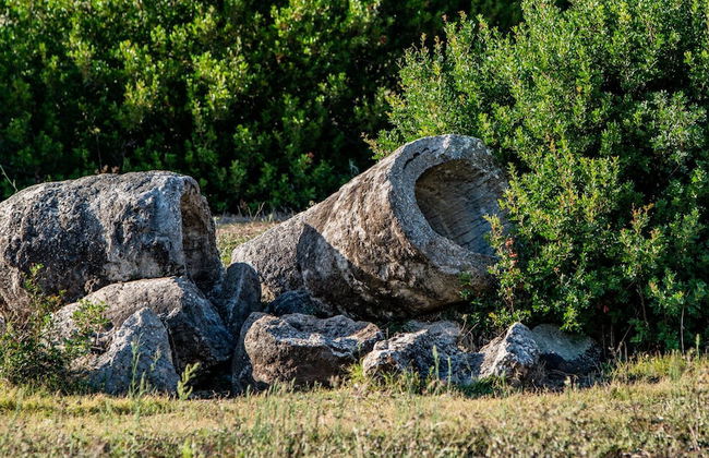 Agriturismo Carrucana - Foto 19