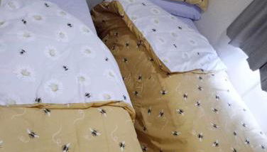 Lucy's Retreat - Photo 4