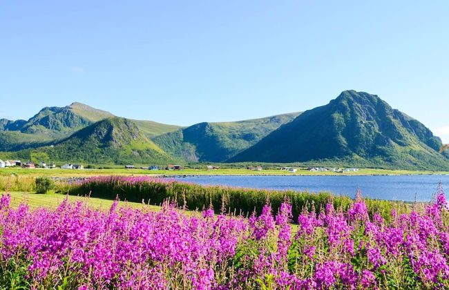 4 Person Holiday Home in Alsvag - Photo 4