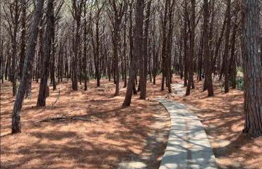 Pizzo Beach Club two bed Apartments 57F - Photo 19