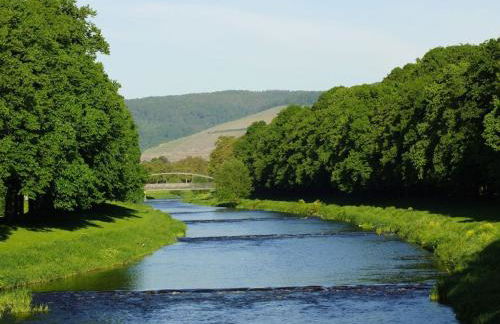 One-bedroom apartment - Foto 23
