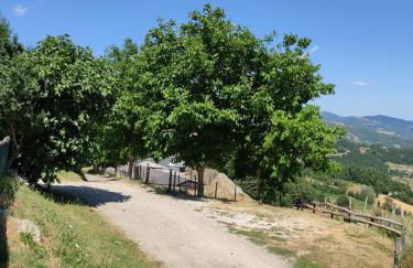 Agriturismo al Monte - Foto 67