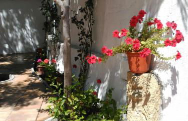 Complejo Apartamentos Rurales Molino de Abajo - Foto 56