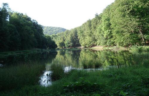 Seoski Turiziam Larva - Photo 49