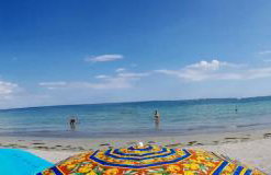 Résidence des trois pins - Foto 30