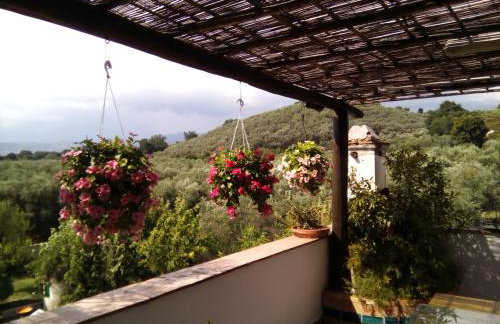 Masseria Sparano - Foto 32