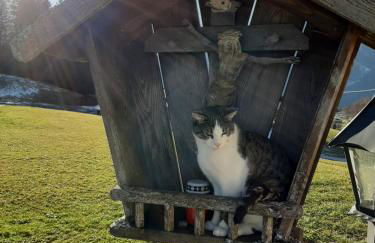 Fronwieshof - Foto 13