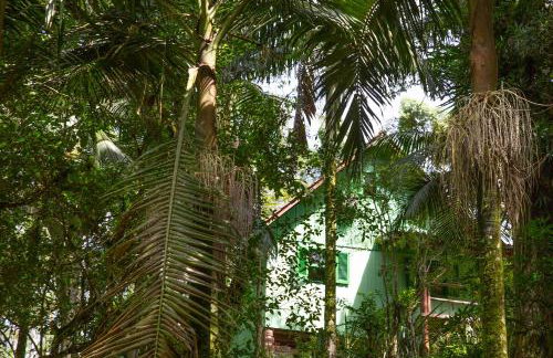 Canto da cascata - Foto 14