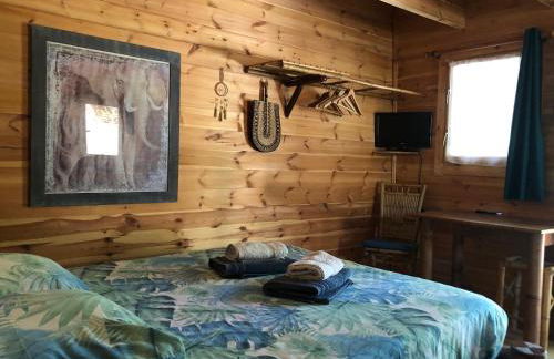 Cabane bambou - Photo 4