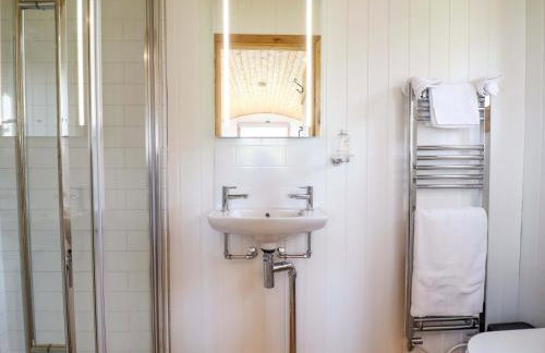 Defaid Cymreig - Foto 16