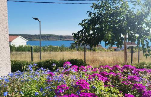 Apartmani Darko - Foto 20