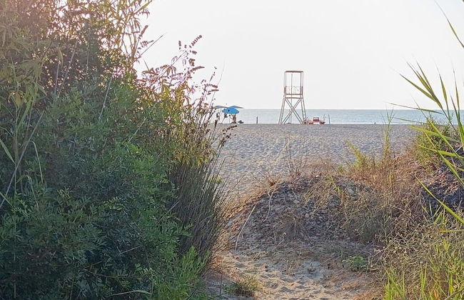 Foximanna on the North Floor in a Villa Surrounded by Greenery Facing the sea - Photo 27