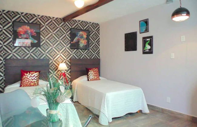 Coyotito Beds Coyoacán - Foto 5