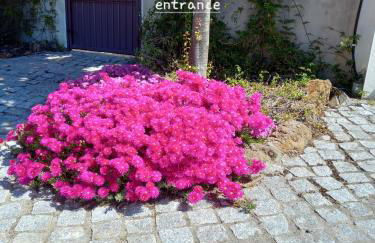 Villa Tranquilla apartment - Foto 57