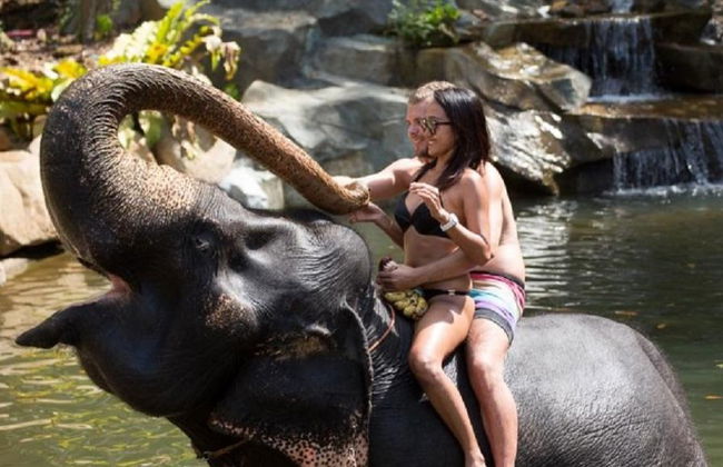 Half Day Elephant Bathing welfare center from Phuket - Foto 9