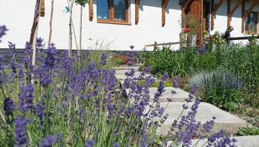 Base Camp Carpathia - Foto 2