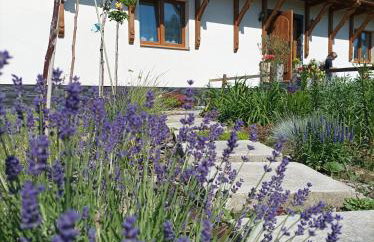 Base Camp Carpathia - Foto 2