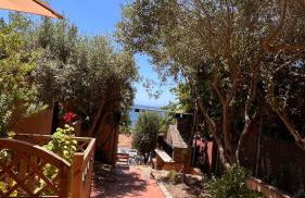 Il Verde Ulivo - Foto 18