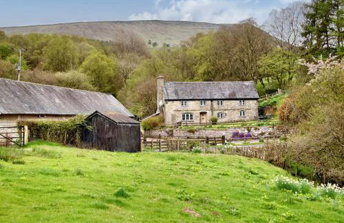 The Birches - Foto 20