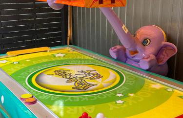 Ostoja Konarzewo - Foto 21